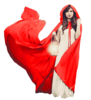 Red Cape Final Image